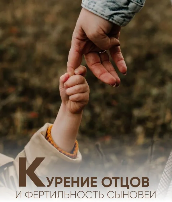 Курение отцов и фертильность сыновей: прямая связь