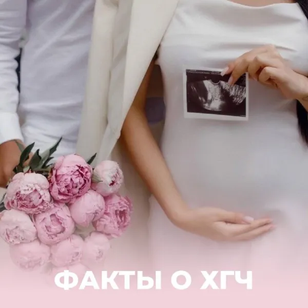 ХГЧ: история открытия и интересные факты о «гормоне беременности»