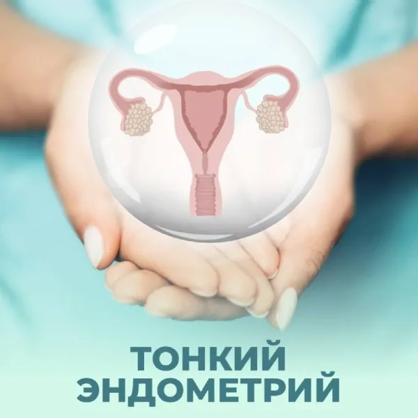 Тонкий эндометрий: главная причина женского бесплодия, о которой вы не знали