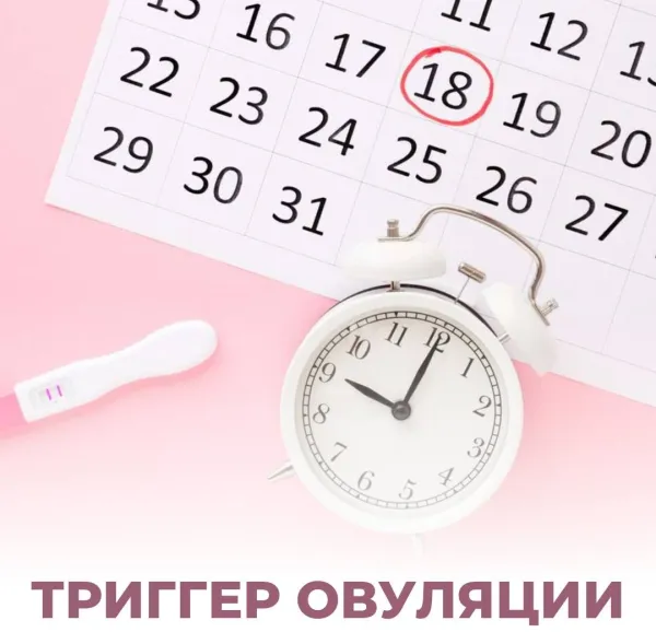 Триггер овуляции: финальный аккорд в программе ЭКО