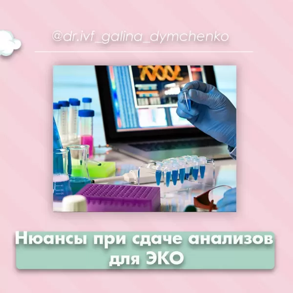 Подготовка к ЭКО